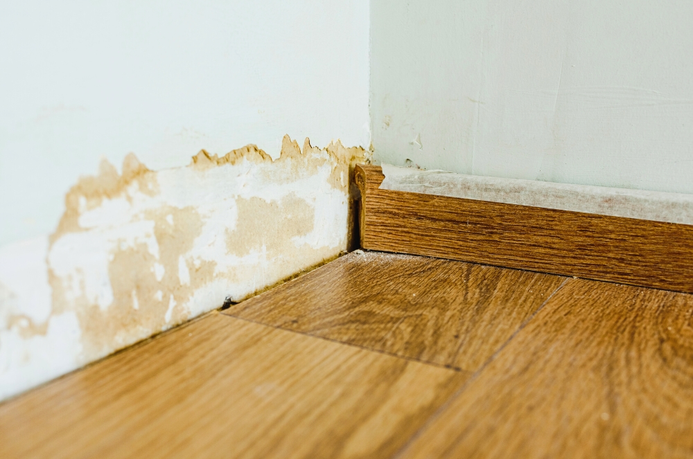 Identifying signs of moisture damage in walls and other structures