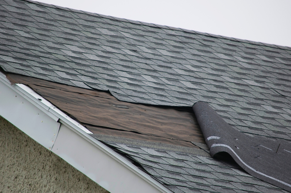 The complete guide to understanding and addressing roof problems » Newcastle Trades
