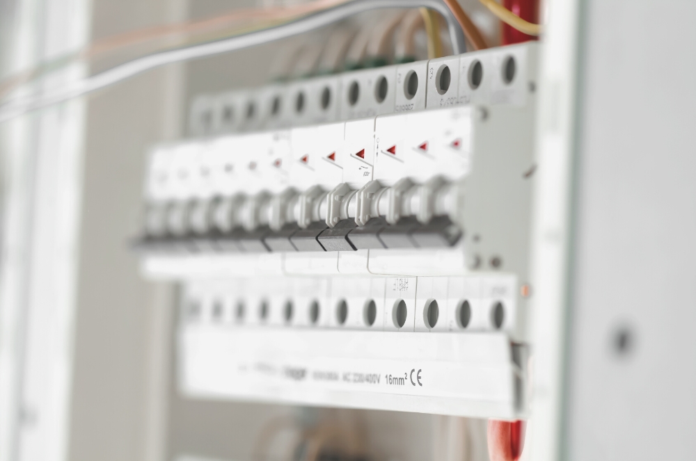 Electrical panels and distribution systems