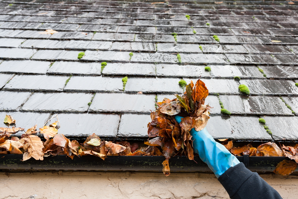 Maximise Your Roof's Longevity: 5 Simple and Effective Insights to Extend its Lifespan through Regular Maintenance » Newcastle Trades