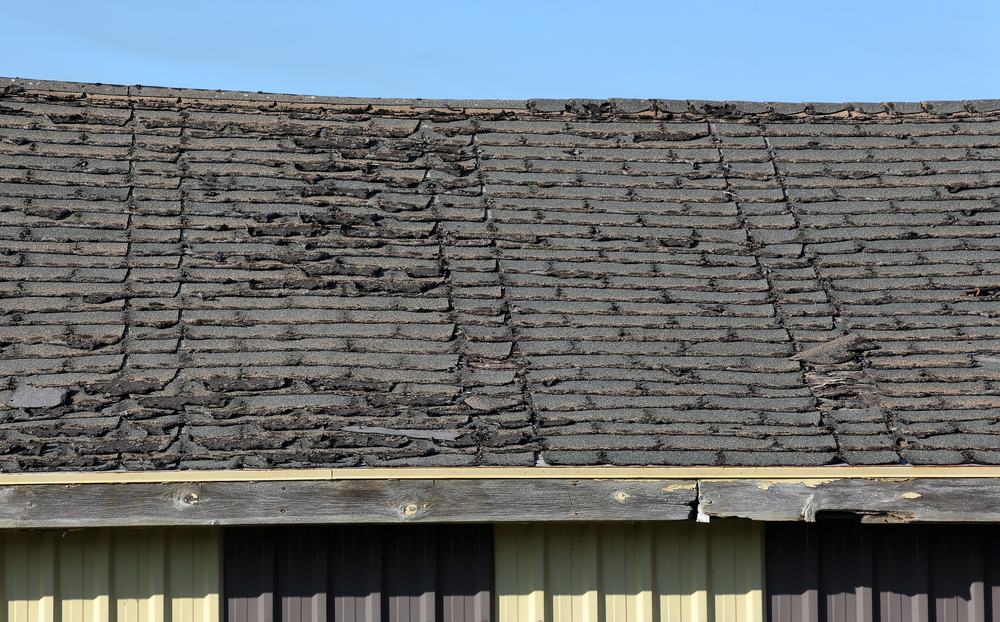 Important Notes on Roofing Maintenance, Problems, and Repair » Newcastle Trades