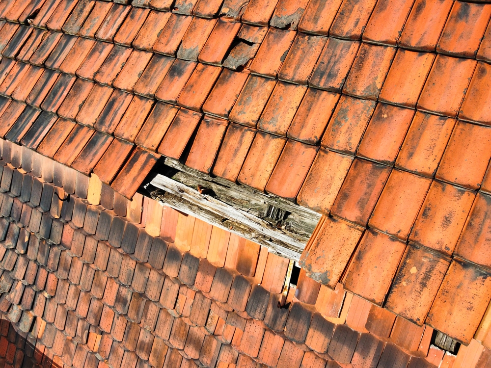 Example of a sign that a homeowner's roof needs repair or replacement
