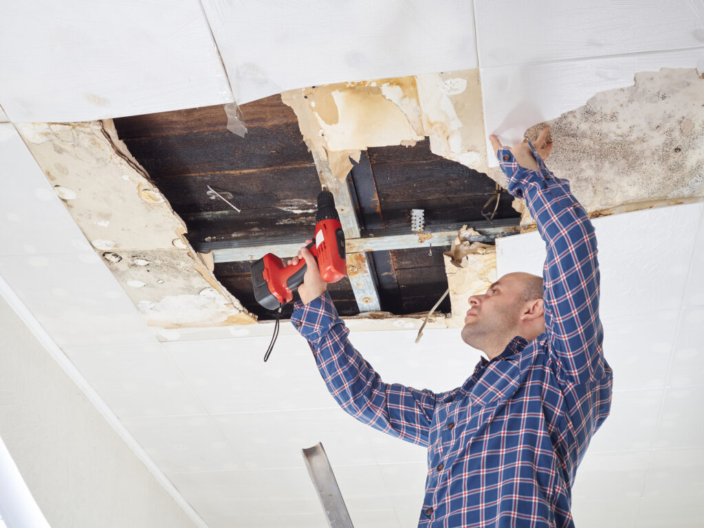 Roofing Services: Roof Leak Repairs
